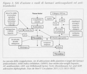 Figura 2